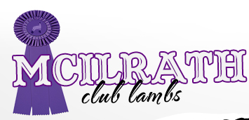 McIlrath Club Lambs